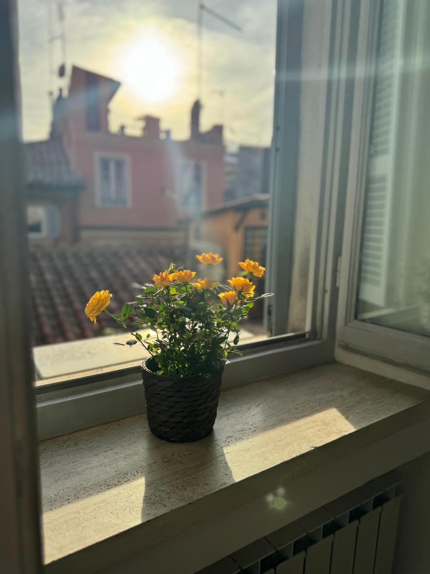 Labanca'S Luxury Navona Villa Rom Eksteriør billede