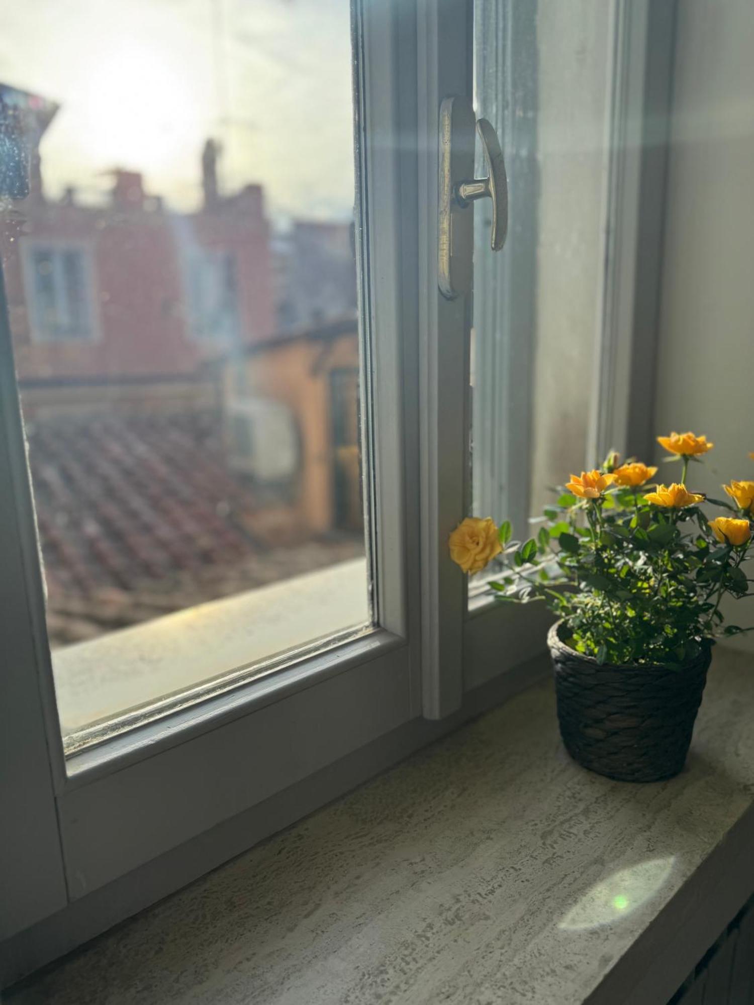 Labanca'S Luxury Navona Villa Rom Eksteriør billede